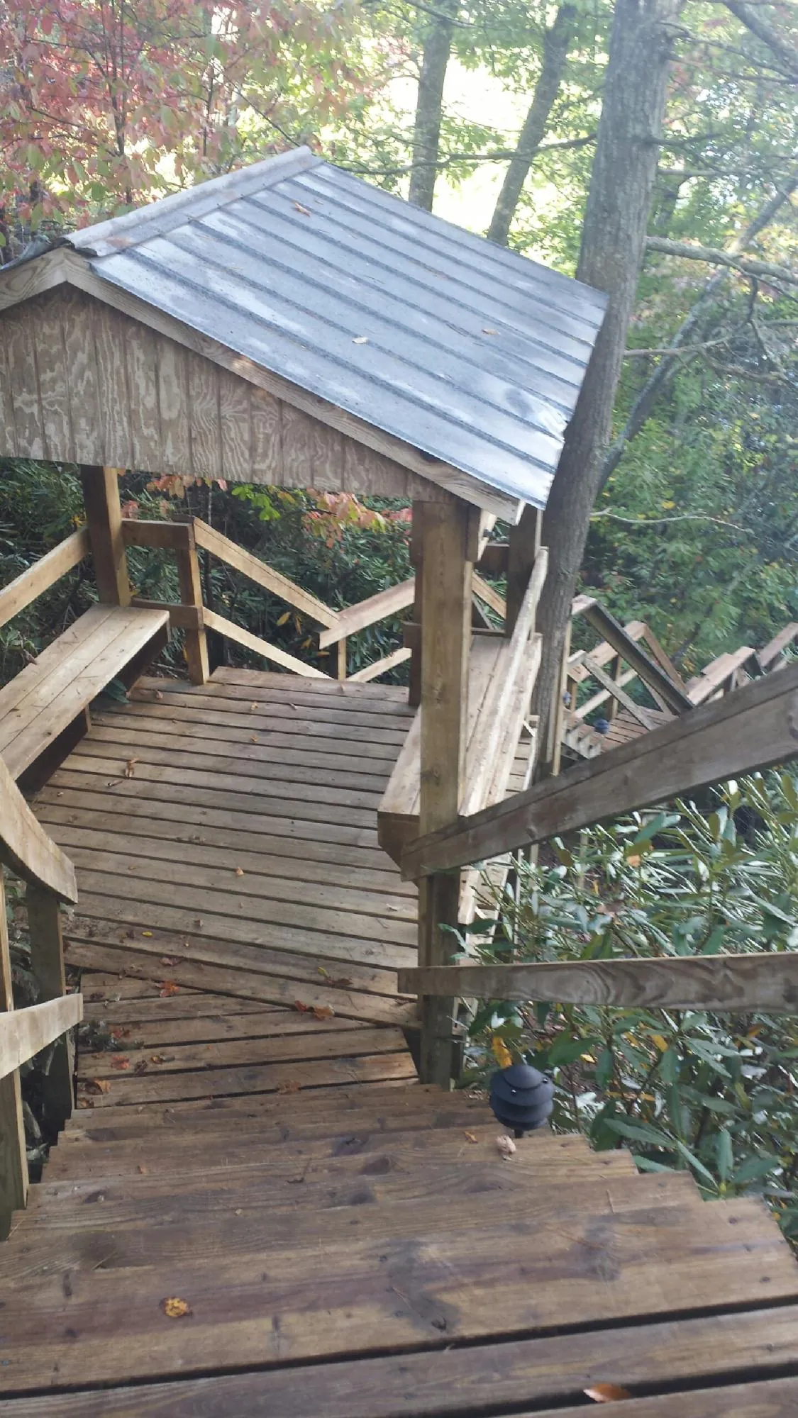 Metal roofed shelter over wooden steps on a wooded walkway — Skylight Repair & Installation work by our crew in Berry Creek