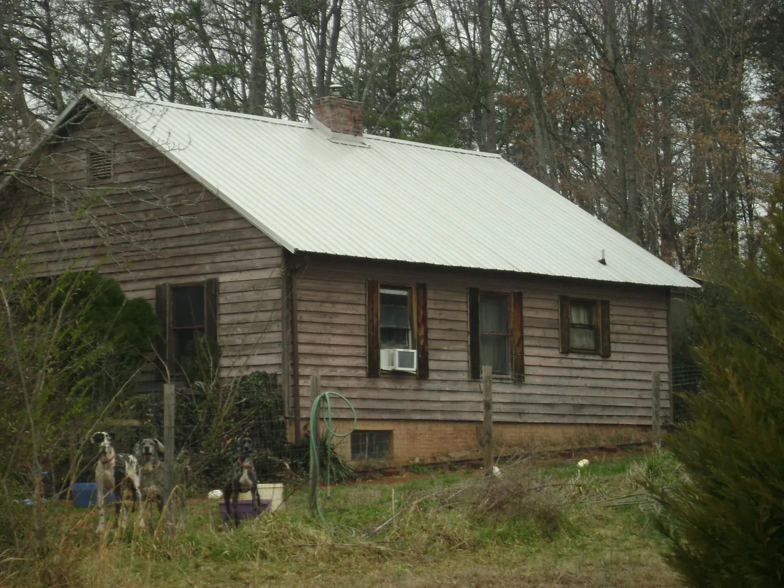 White metal roof on an old wood sided farmhouse, from a Metal Roof Installation job in Berry Creek